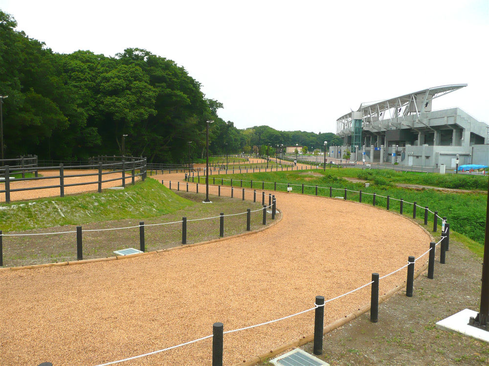 相模原のクロカンコースの写真3