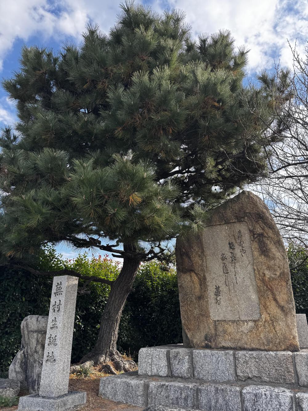 大阪ド真ん中20Kの写真3