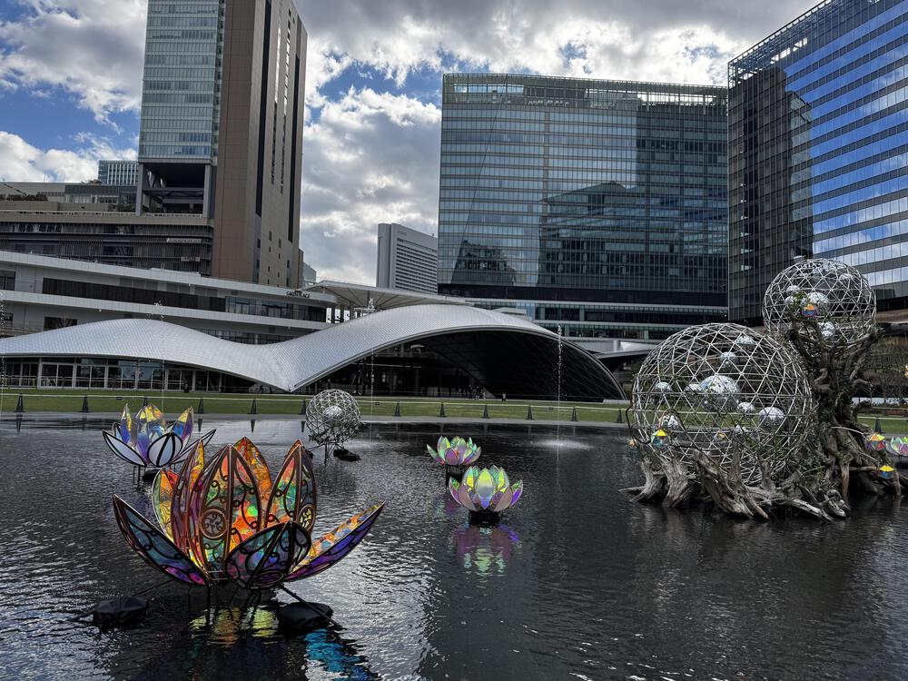 大阪ド真ん中20Kの写真6