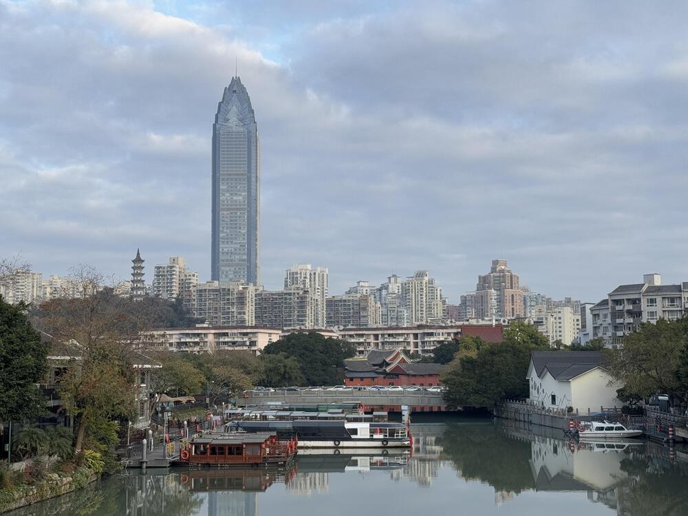 温州市の自然豊かな白鹿洲公園の写真9