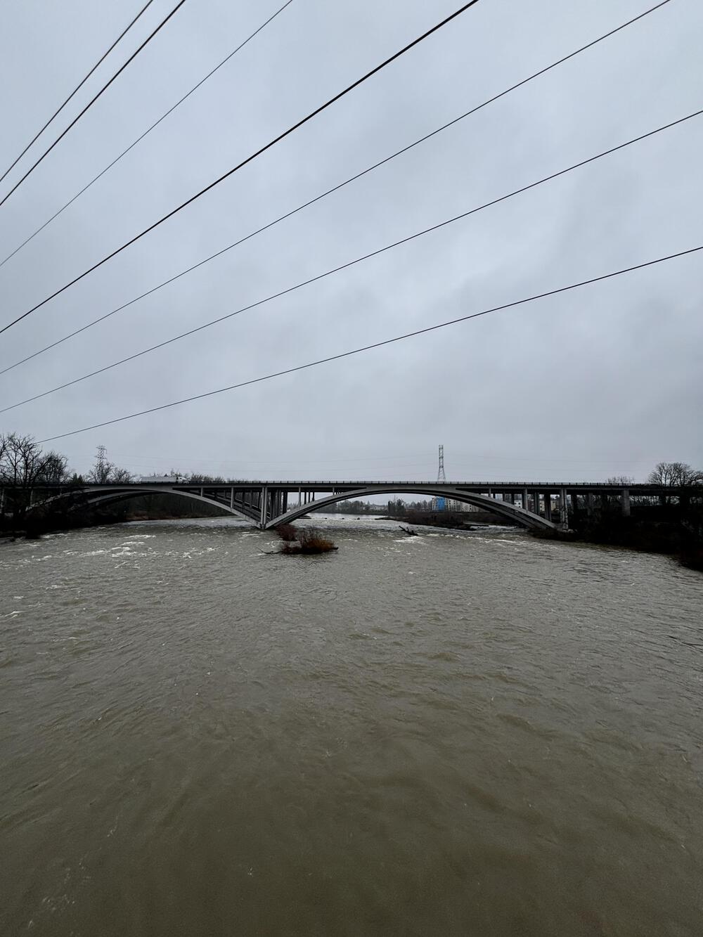Run along Willamette River via Pre’s Trailの写真3
