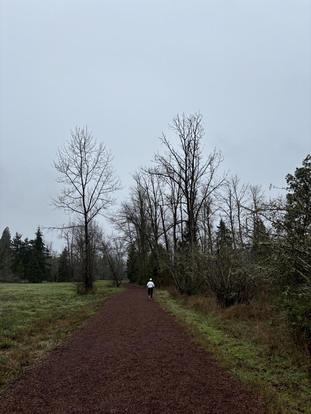 Run along Willamette River via Pre’s Trailの写真4