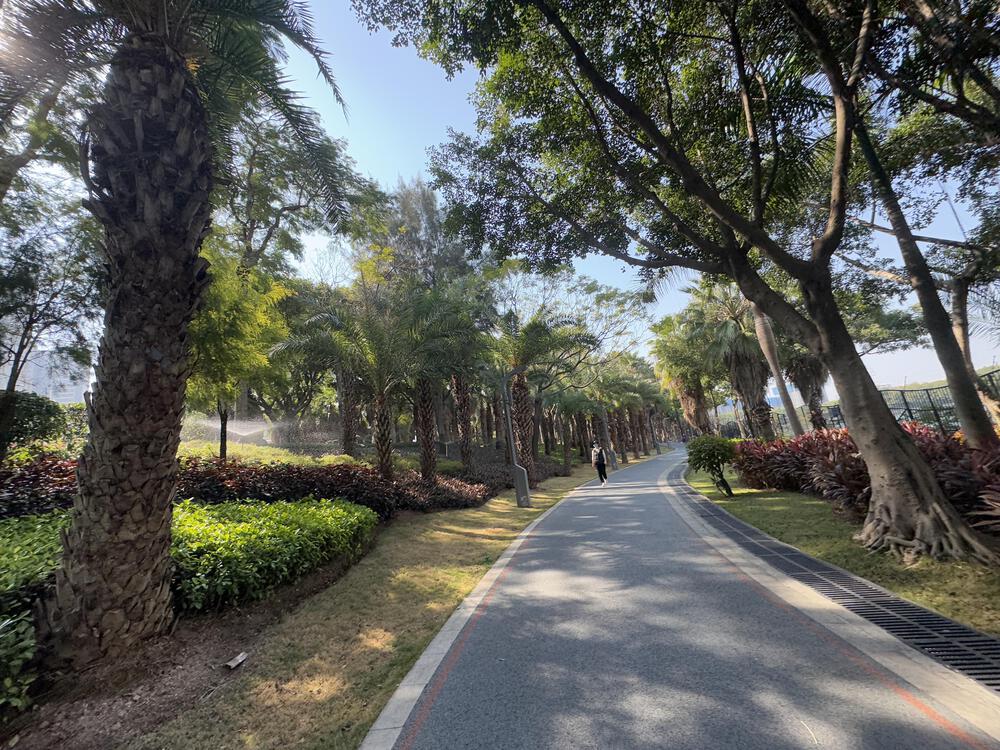 廈門市北東部・美しい湖畔の貯水池の写真5