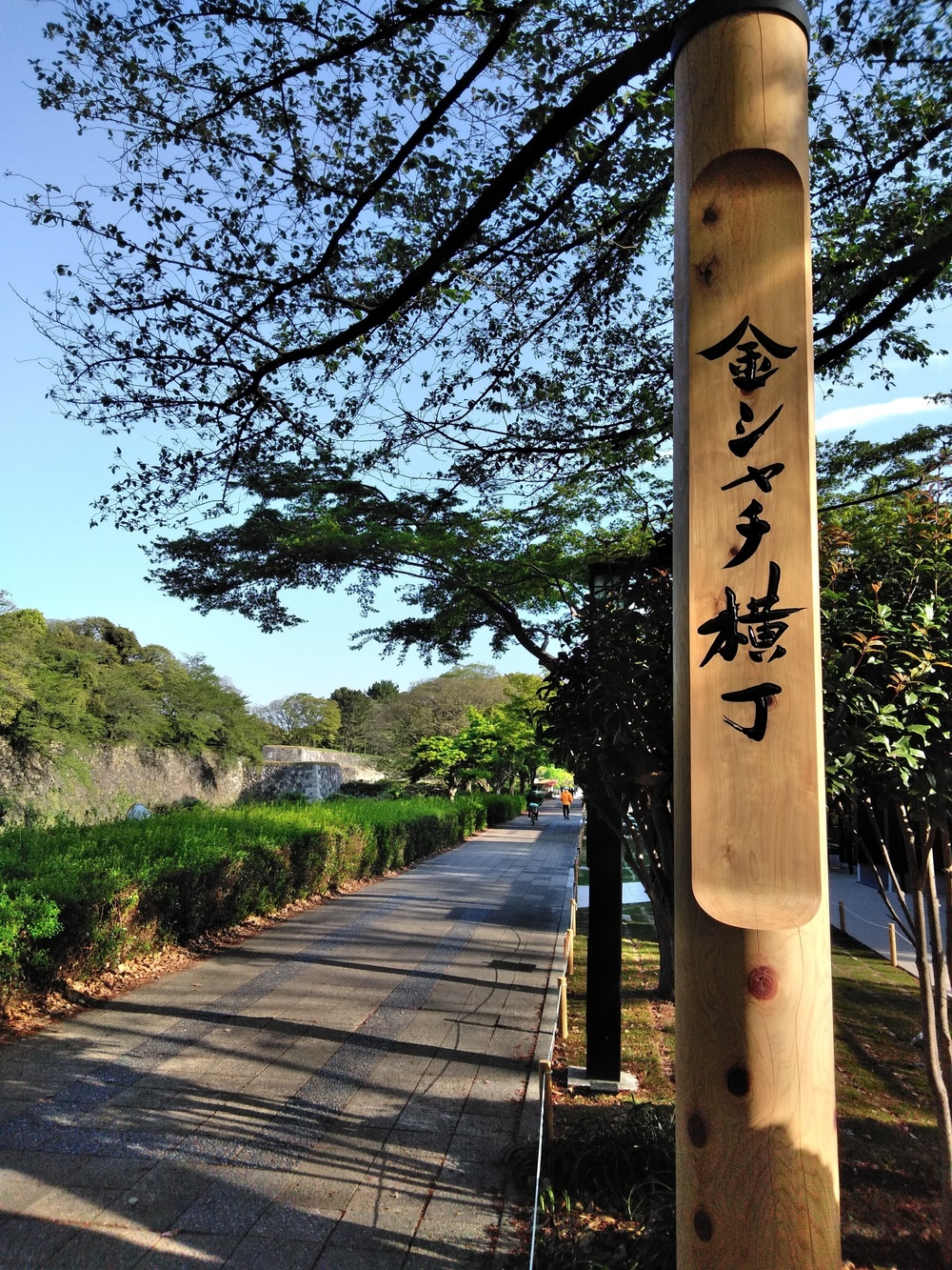新緑の名城公園、名古屋城、朝ランの写真3