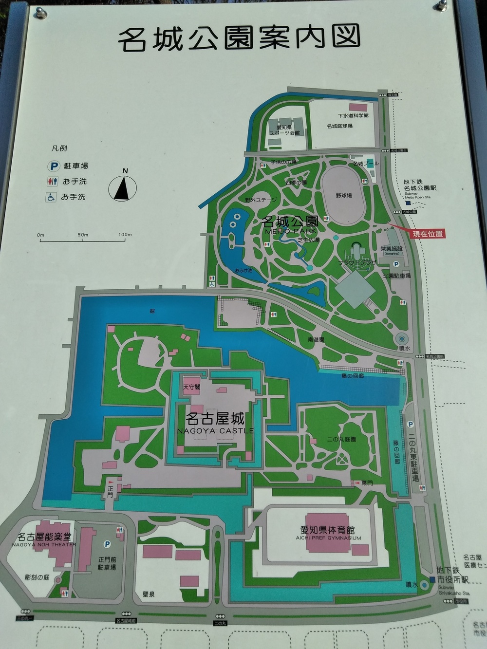 新緑の名城公園、名古屋城、朝ランの写真4