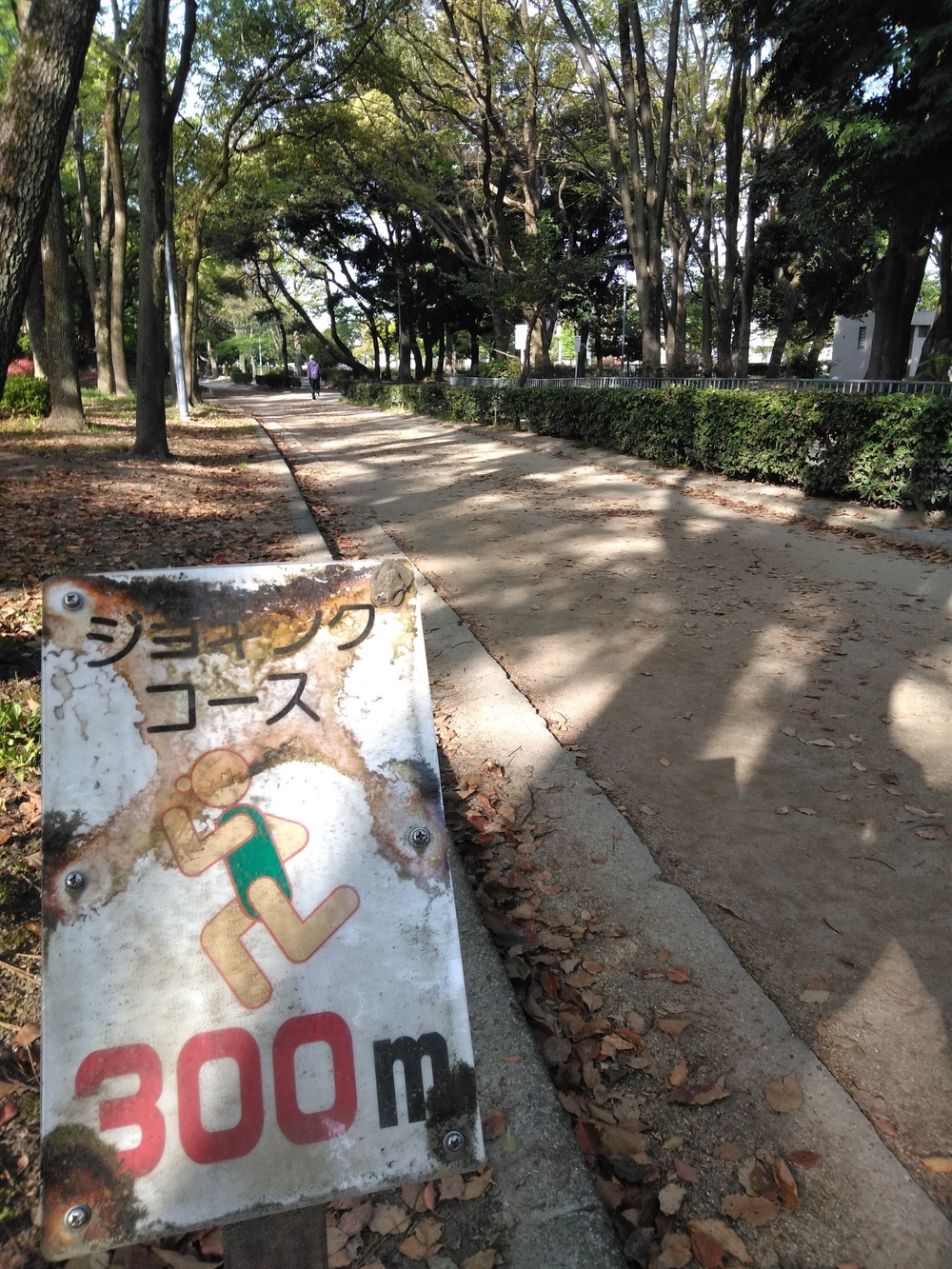 新緑の名城公園、名古屋城、朝ランの写真5