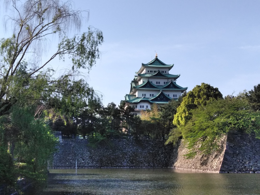 新緑の名城公園、名古屋城、朝ランの写真6