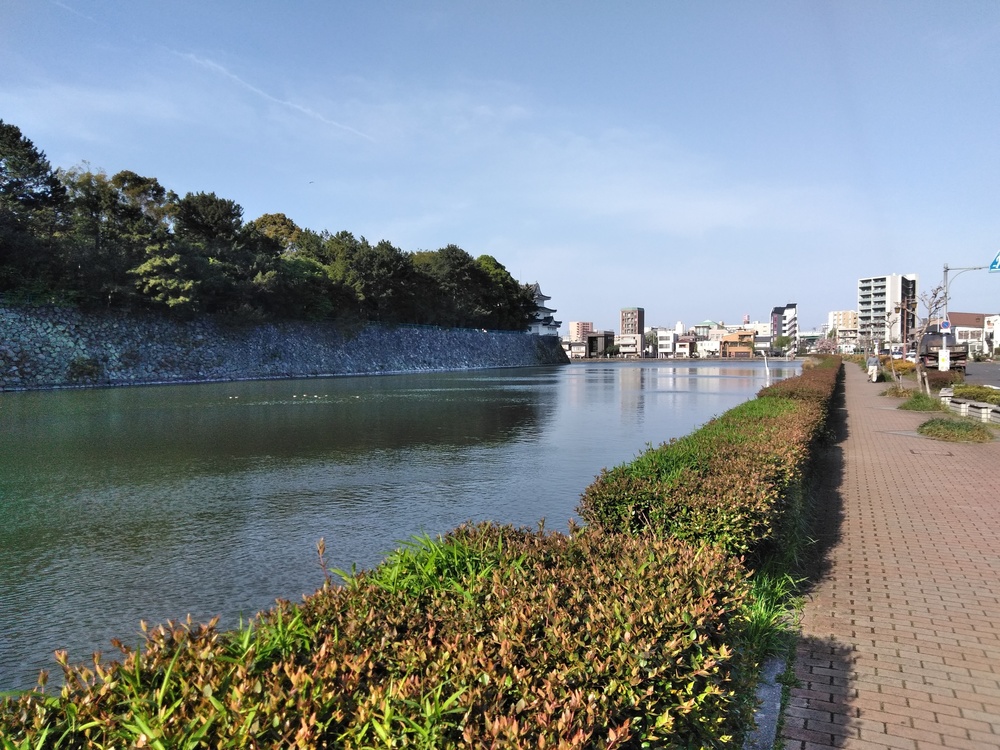 新緑の名城公園、名古屋城、朝ランの写真7