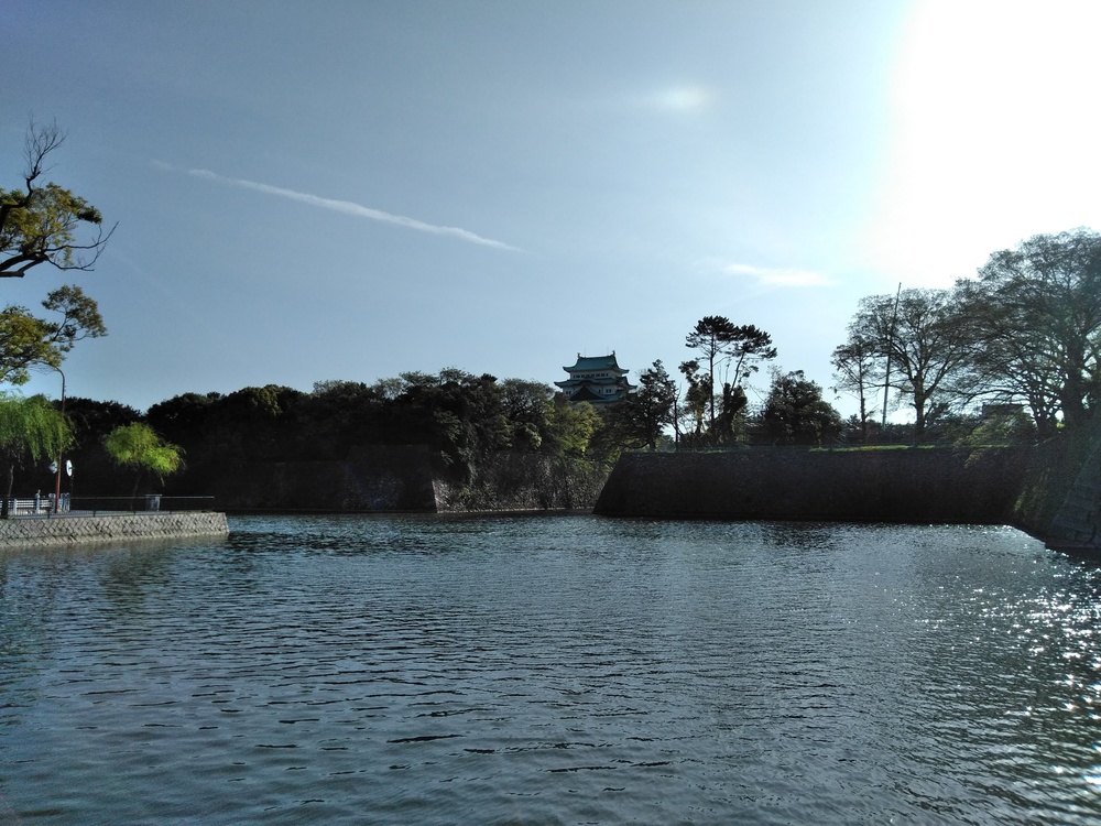 新緑の名城公園、名古屋城、朝ランの写真8