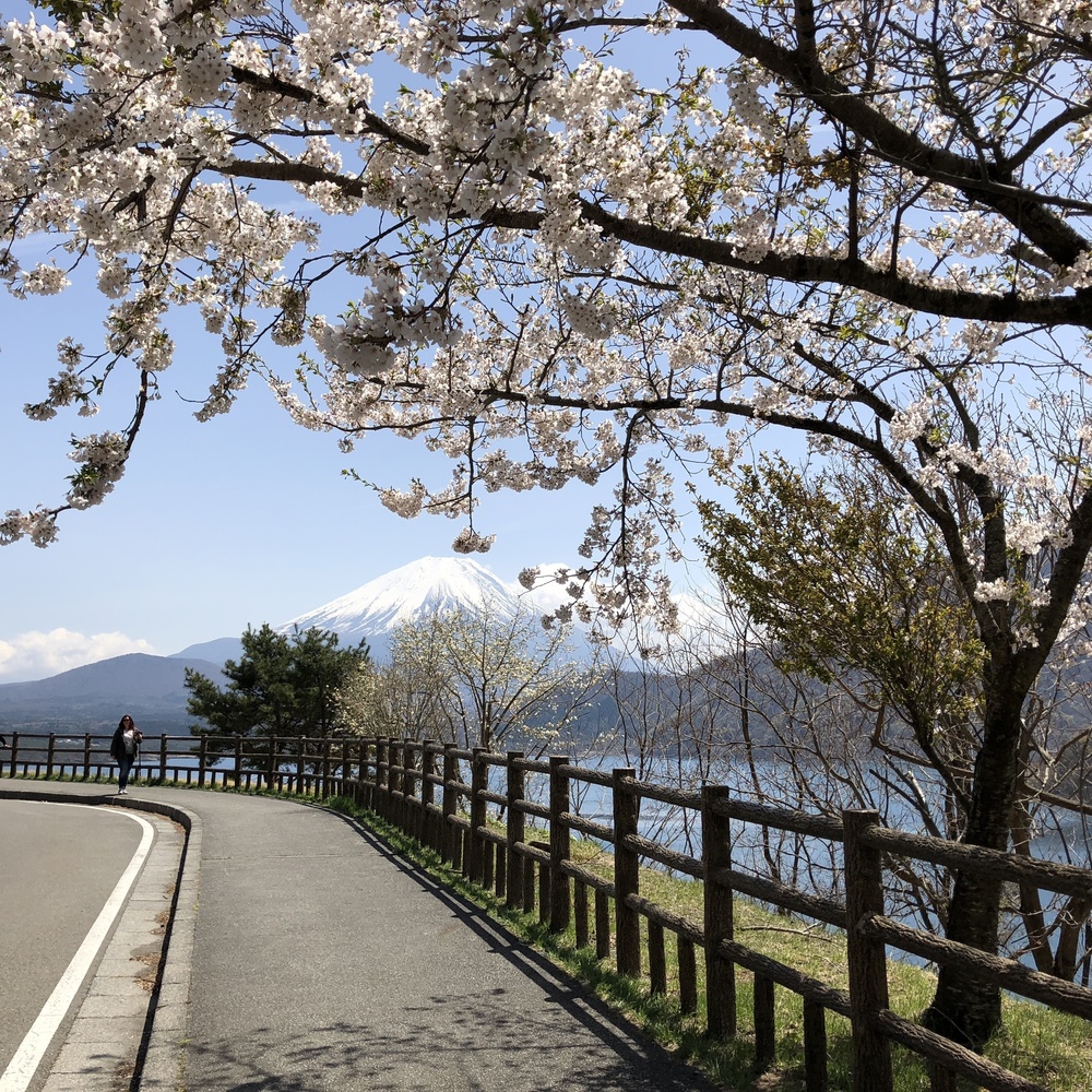 本栖湖ロード＆トレイル（竜ヶ岳）20Kの写真3