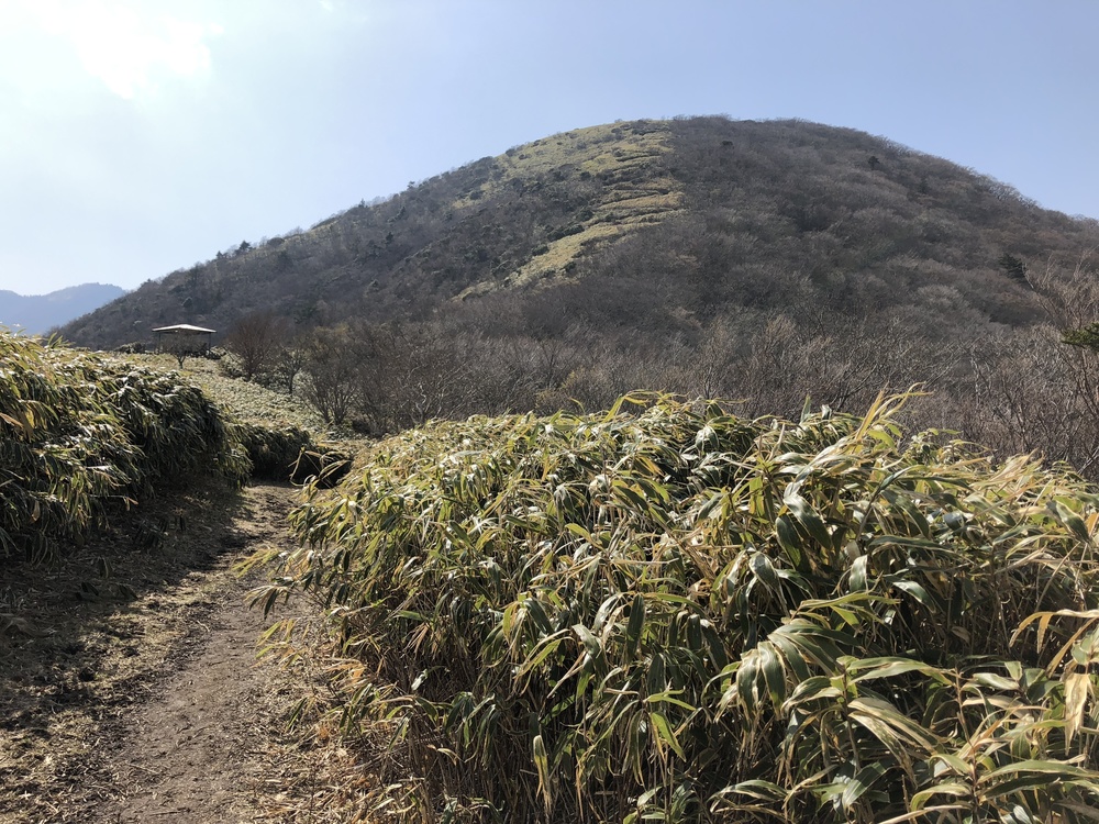 本栖湖ロード＆トレイル（竜ヶ岳）20Kの写真4