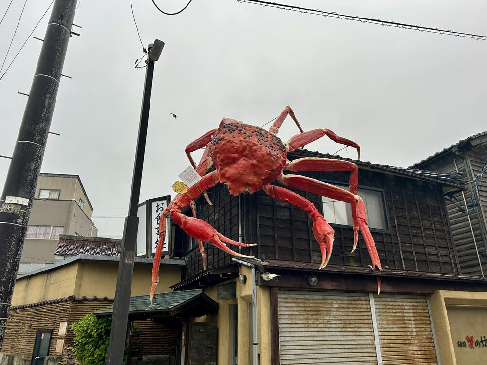 三国湊周回５㎞の写真6
