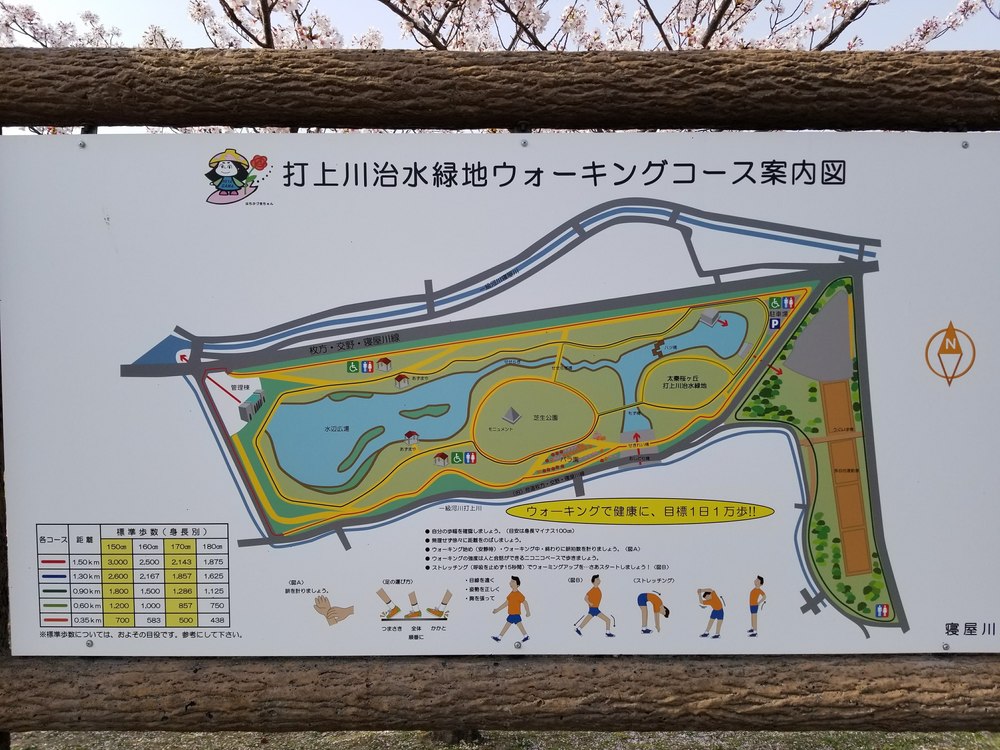 寝屋川公園～打上川治水緑地　桜ラン＆ビバモールの写真4