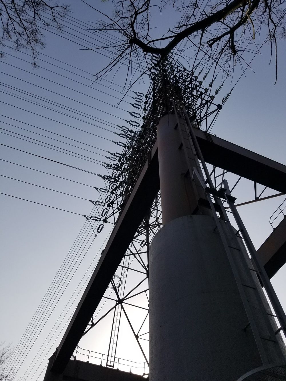 寝屋川公園～打上川治水緑地　桜ラン＆ビバモールの写真8