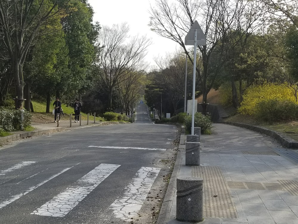 寝屋川公園～打上川治水緑地　桜ラン＆ビバモールの写真9