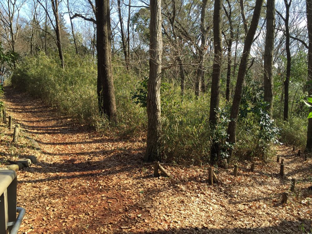 プチトレイル＆ピクニックコース浅間山公園@府中市の写真3