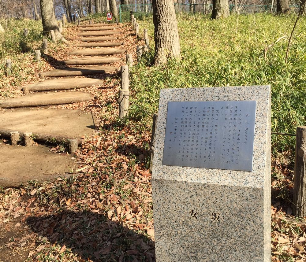 プチトレイル＆ピクニックコース浅間山公園@府中市の写真4