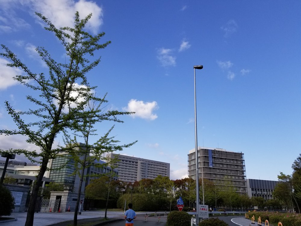 【公園鉄板コース】万博公園ぐるり　の写真3