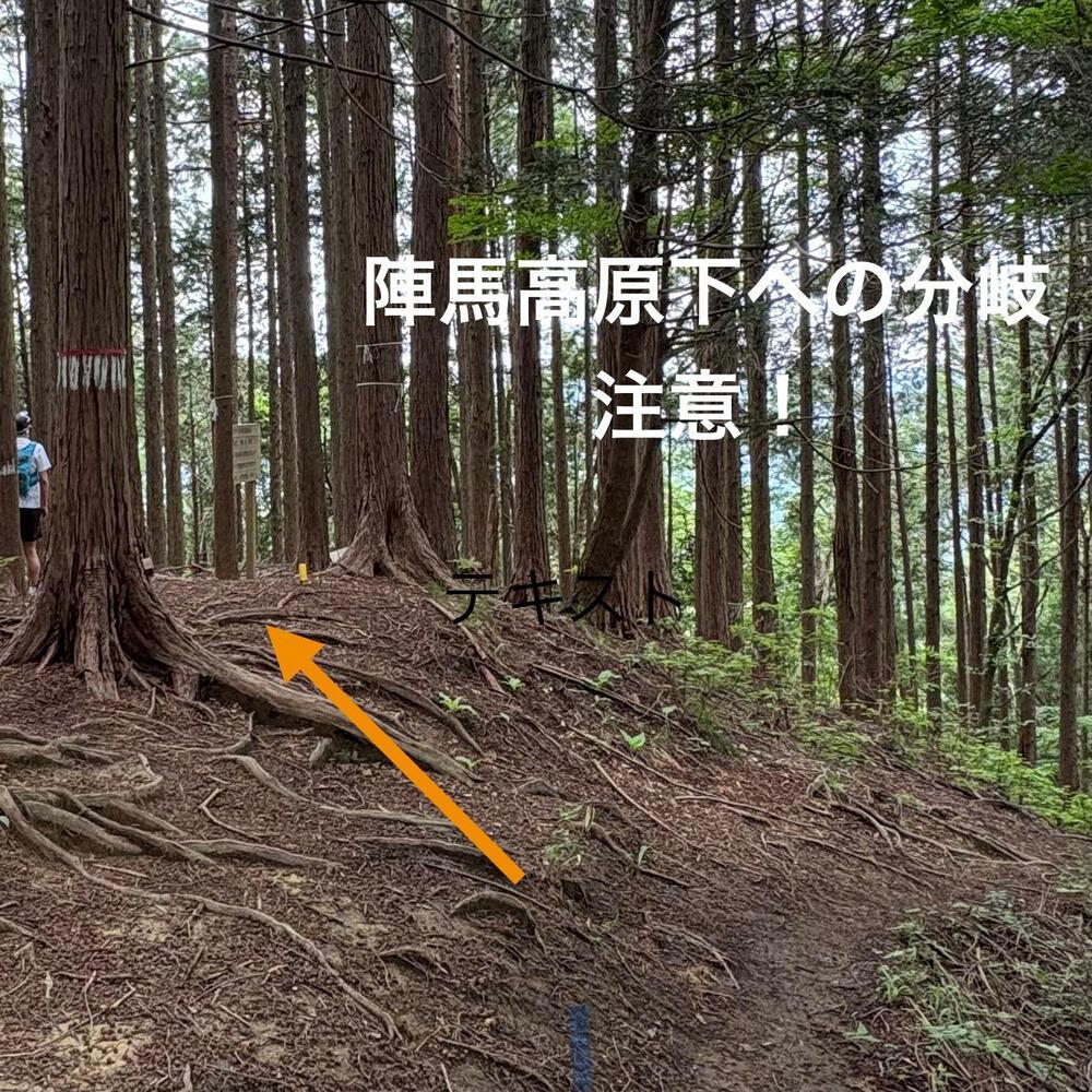 高尾ドック（トレイルラン）の写真6