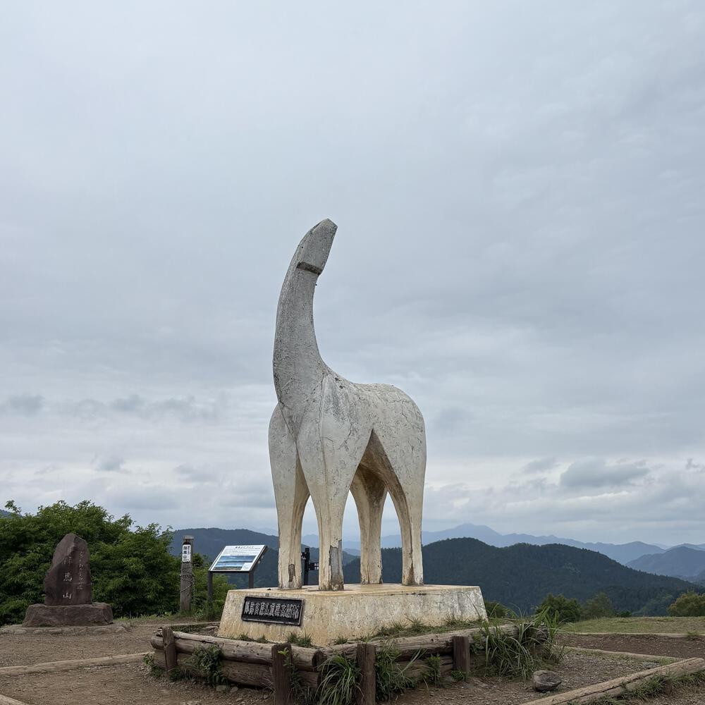 高尾ドック（トレイルラン）の写真10