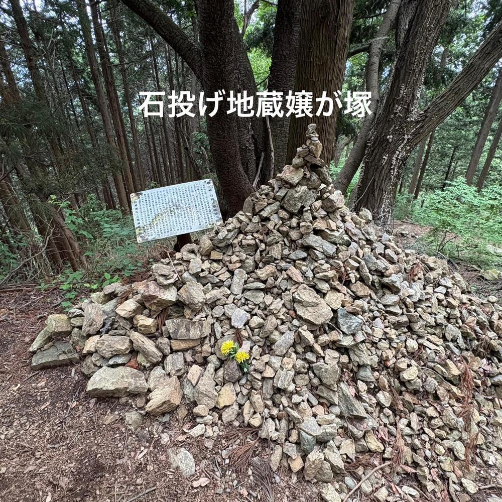 高尾ドック（トレイルラン）の写真13