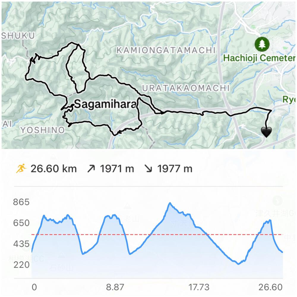 高尾ドック（トレイルラン）の写真15