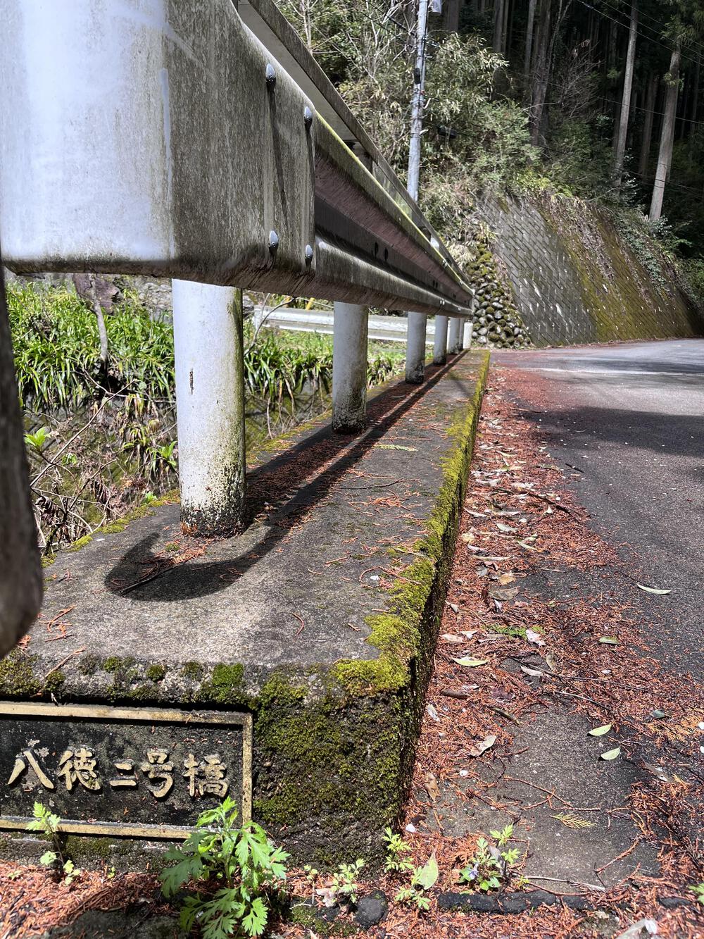 吾野駅から約5㌖🌸八徳の一本桜🌸の写真10