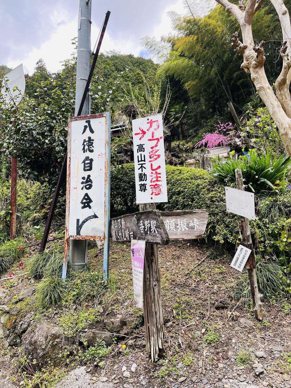 吾野駅から約5㌖🌸八徳の一本桜🌸の写真13
