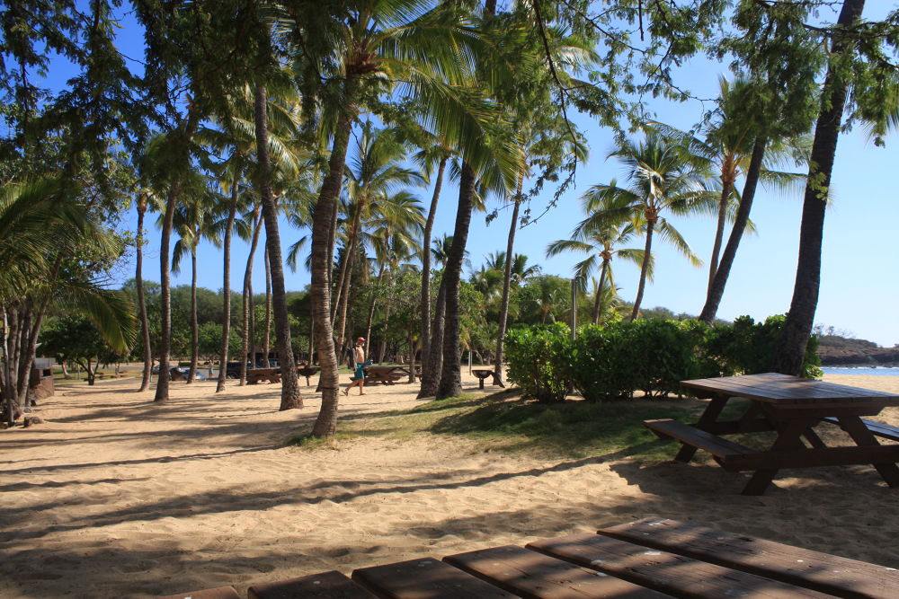 ハワイ最後の楽園・ラナイ島フロポエビーチの写真11