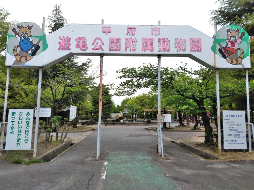 甲府駅～小瀬スポーツ公園往復の写真4