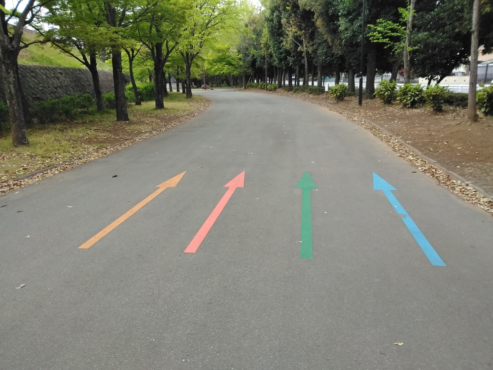 甲府駅～小瀬スポーツ公園往復の写真6