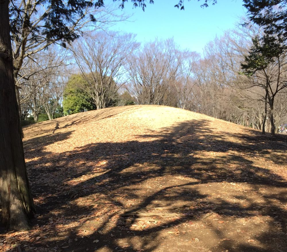 ほのぼの府中の森公園の写真3
