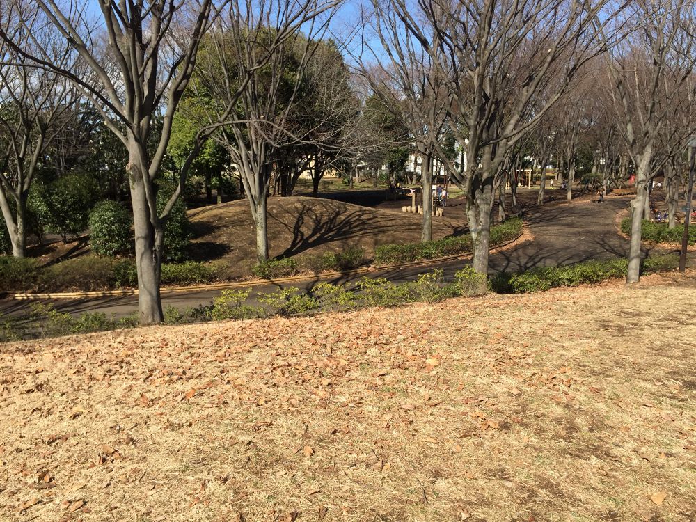 ほのぼの府中の森公園の写真4