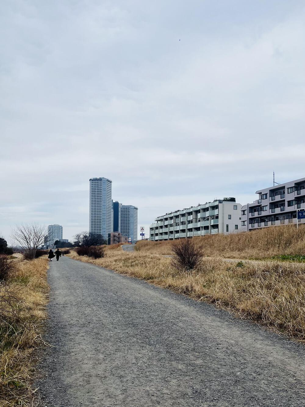 京急川崎駅から多摩川沿いを東急二子玉川駅までの写真10