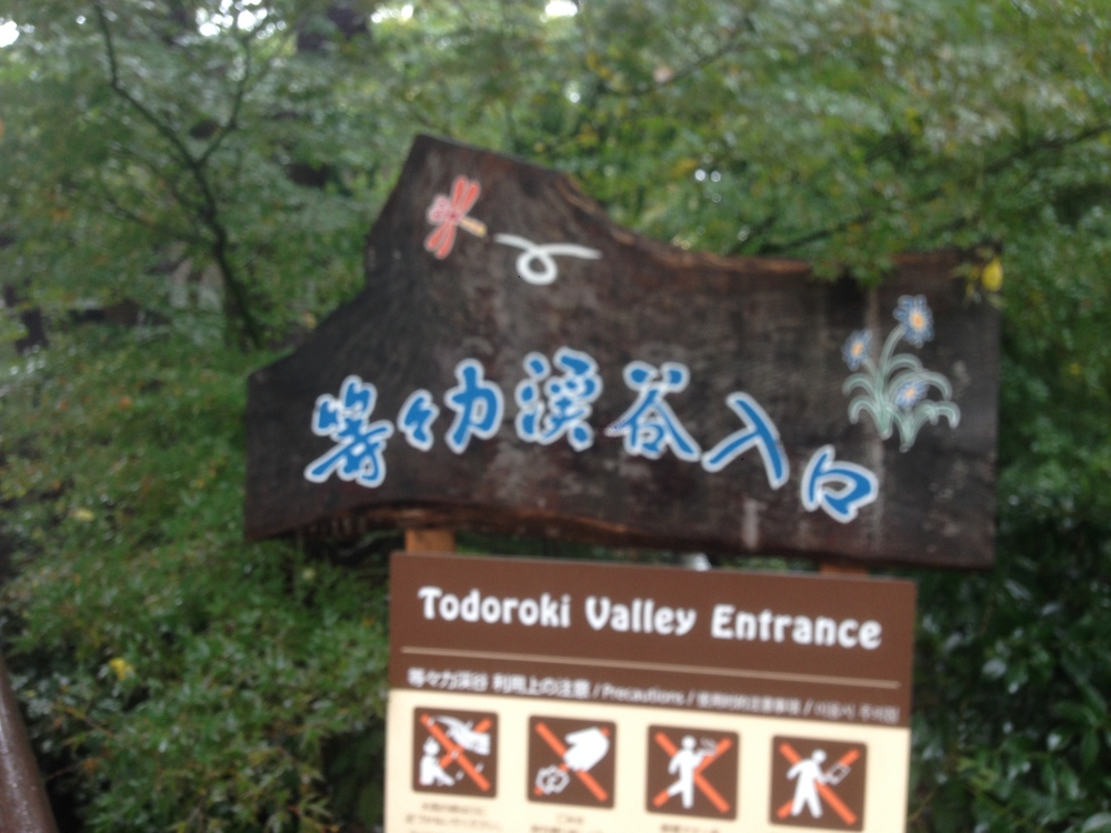 ゆるっと等々力よくばりＲＵＮの写真4