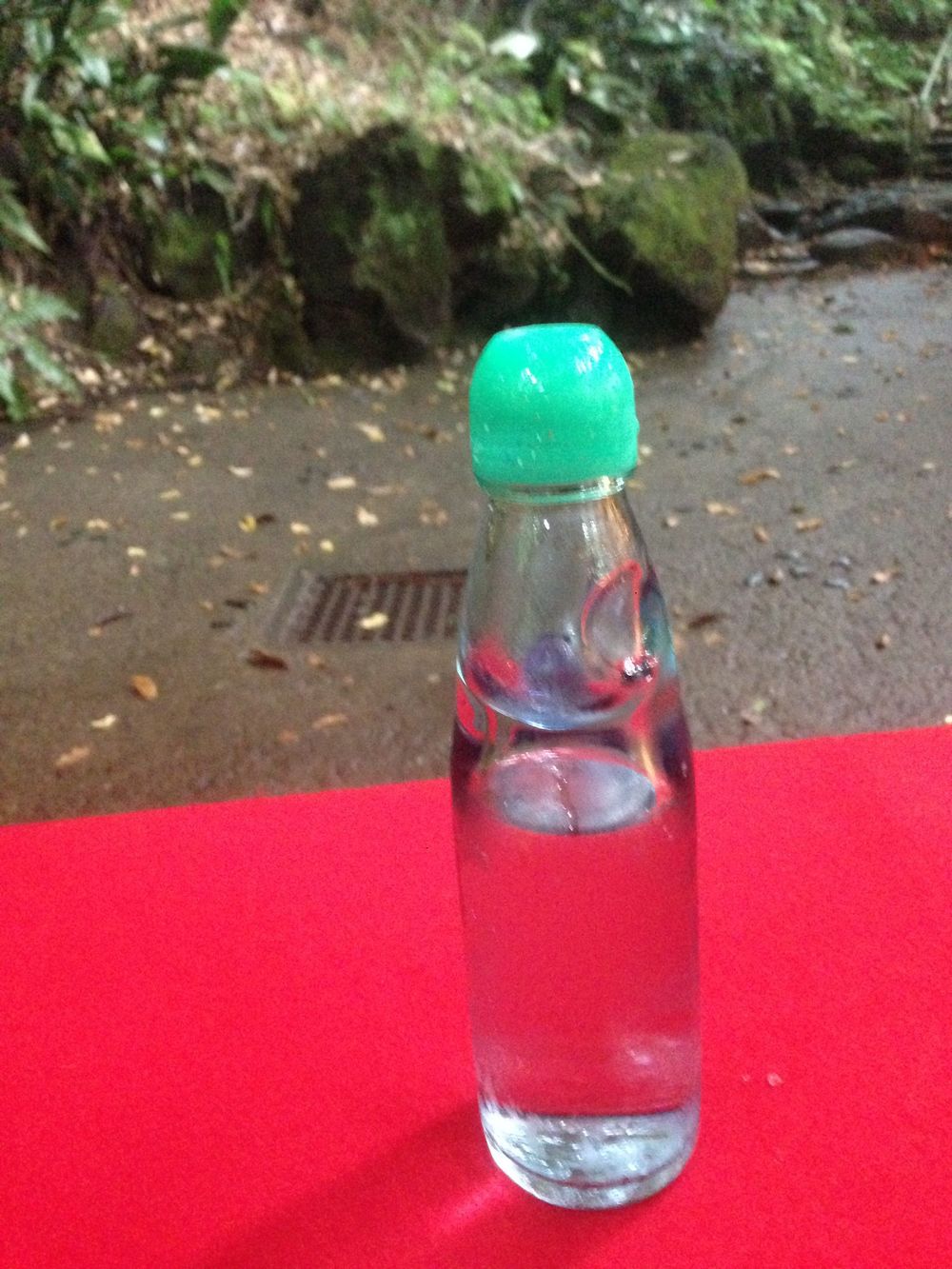 ゆるっと等々力よくばりＲＵＮの写真5