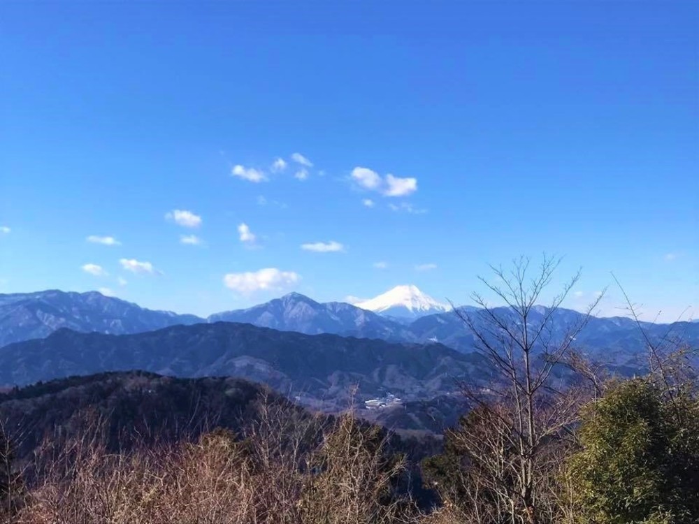 高尾山「自然」を感じるよくばりコース！最短・初級編の写真3