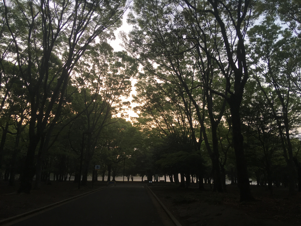 エビダン(恵比寿男子)の日常コースの写真3