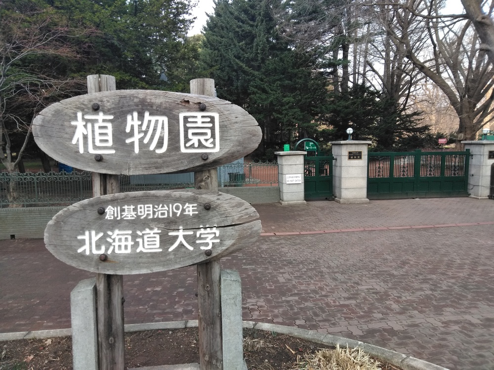 札幌繁華街から札幌神宮経由、大倉山ジャンプ競技場往復の写真3