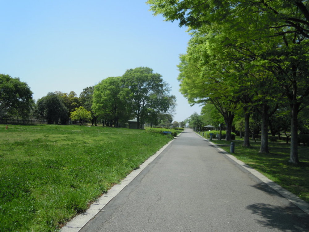 埼玉県行田市でドラマ「陸王」のロケ地を巡るランの写真9