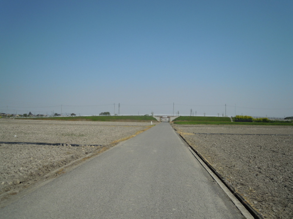 埼玉県行田市でドラマ「陸王」のロケ地を巡るランの写真10