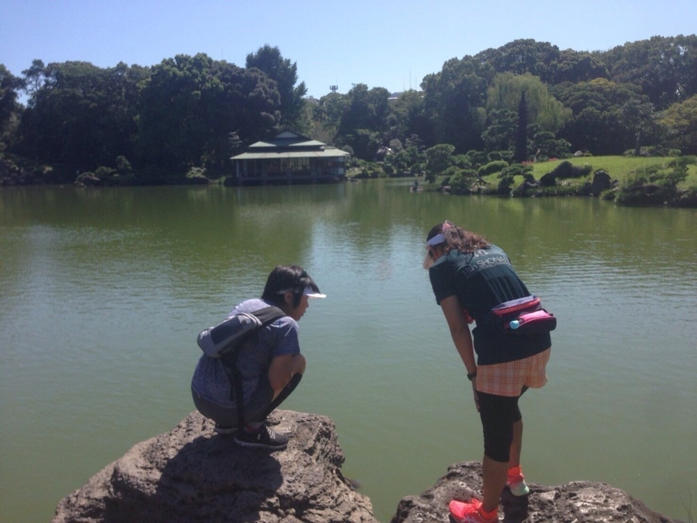 ゆるっと隅田川テラスよくばりＲＵＮの写真10