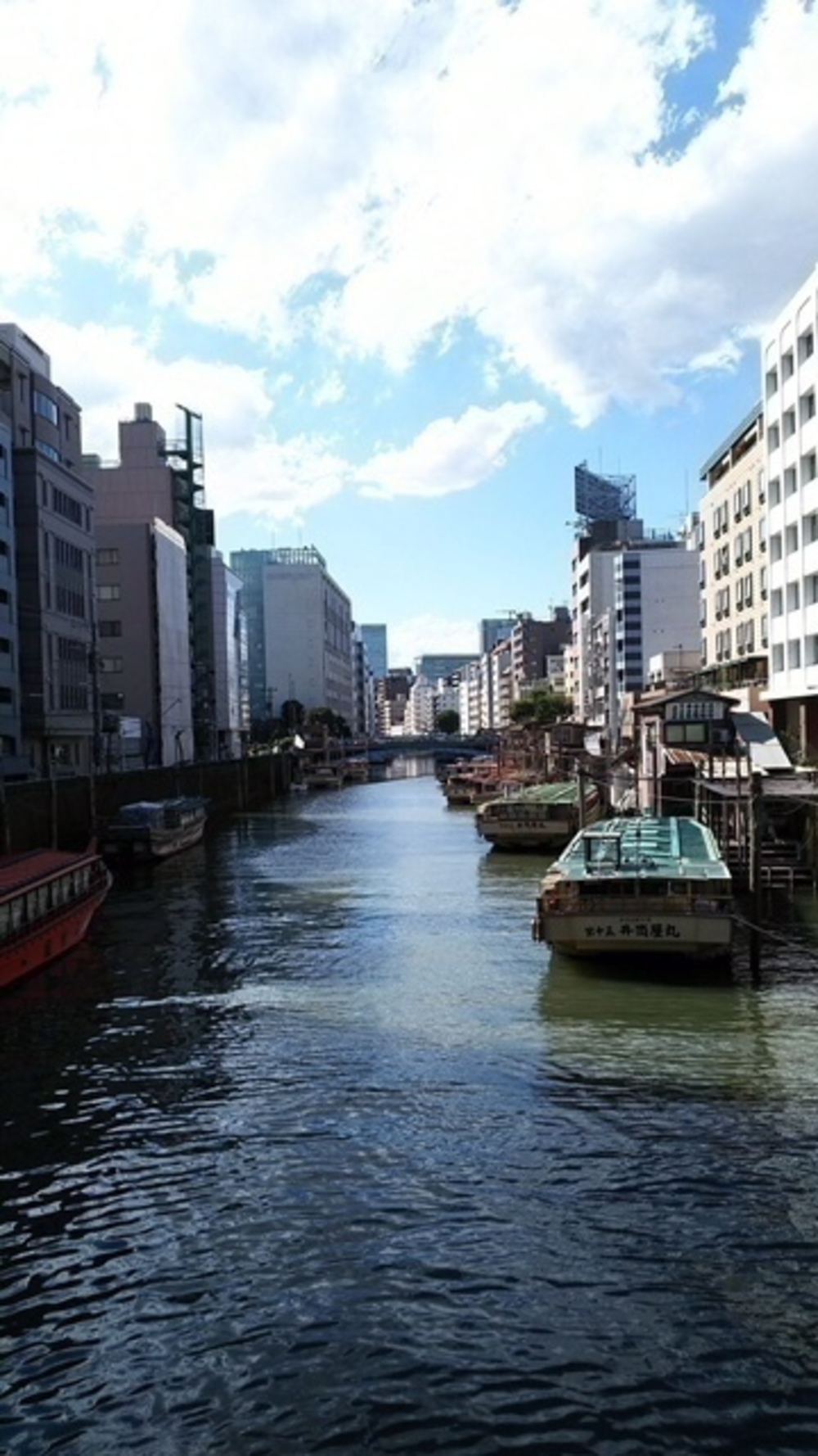 ゆるっと隅田川テラスよくばりＲＵＮの写真14