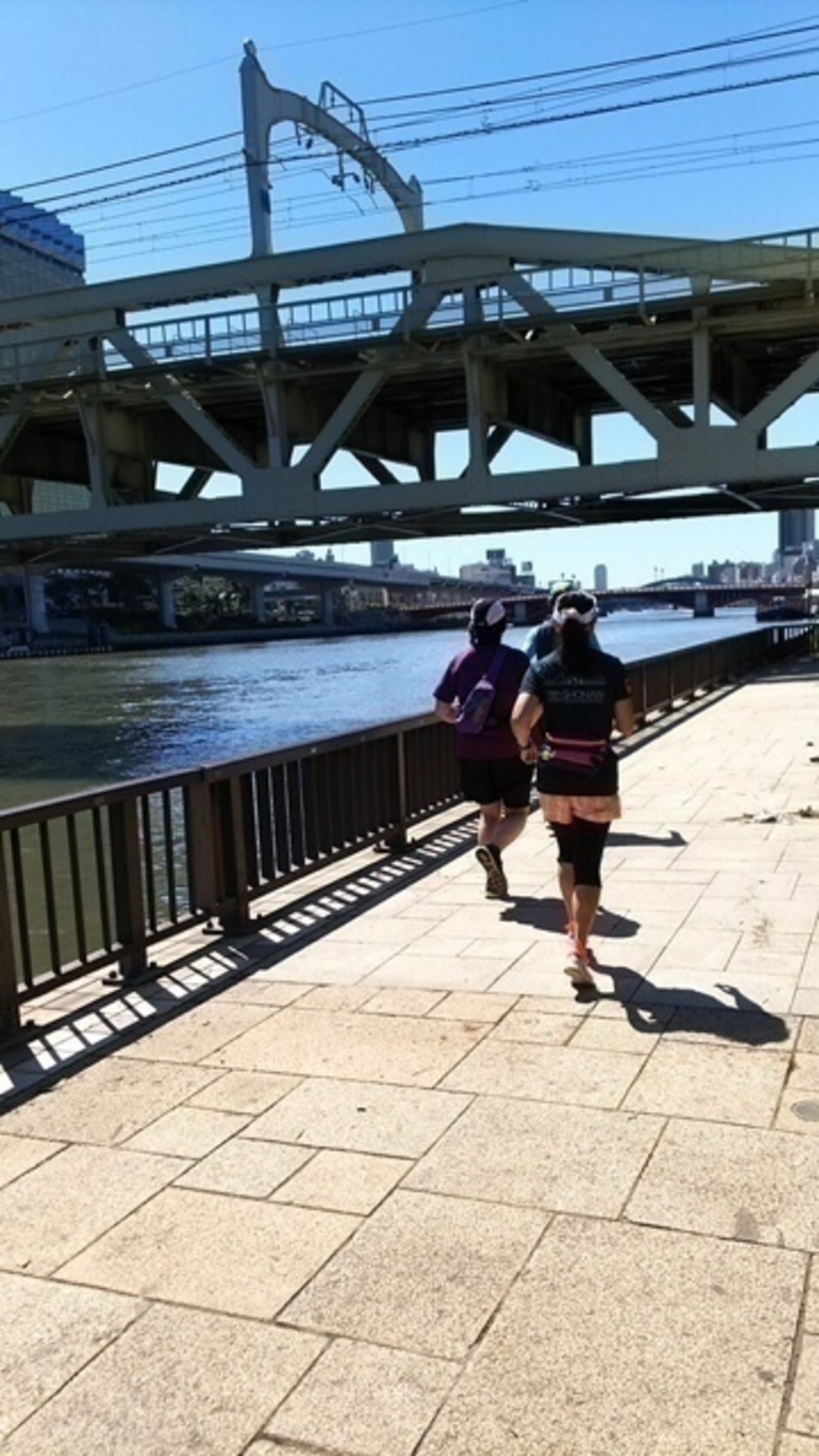 ゆるっと隅田川テラスよくばりＲＵＮの写真15