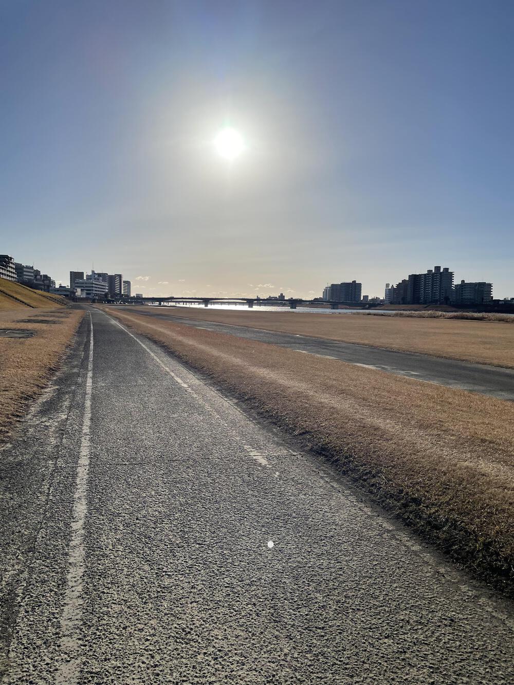 走りやすく、南国を感じられるコースの写真3