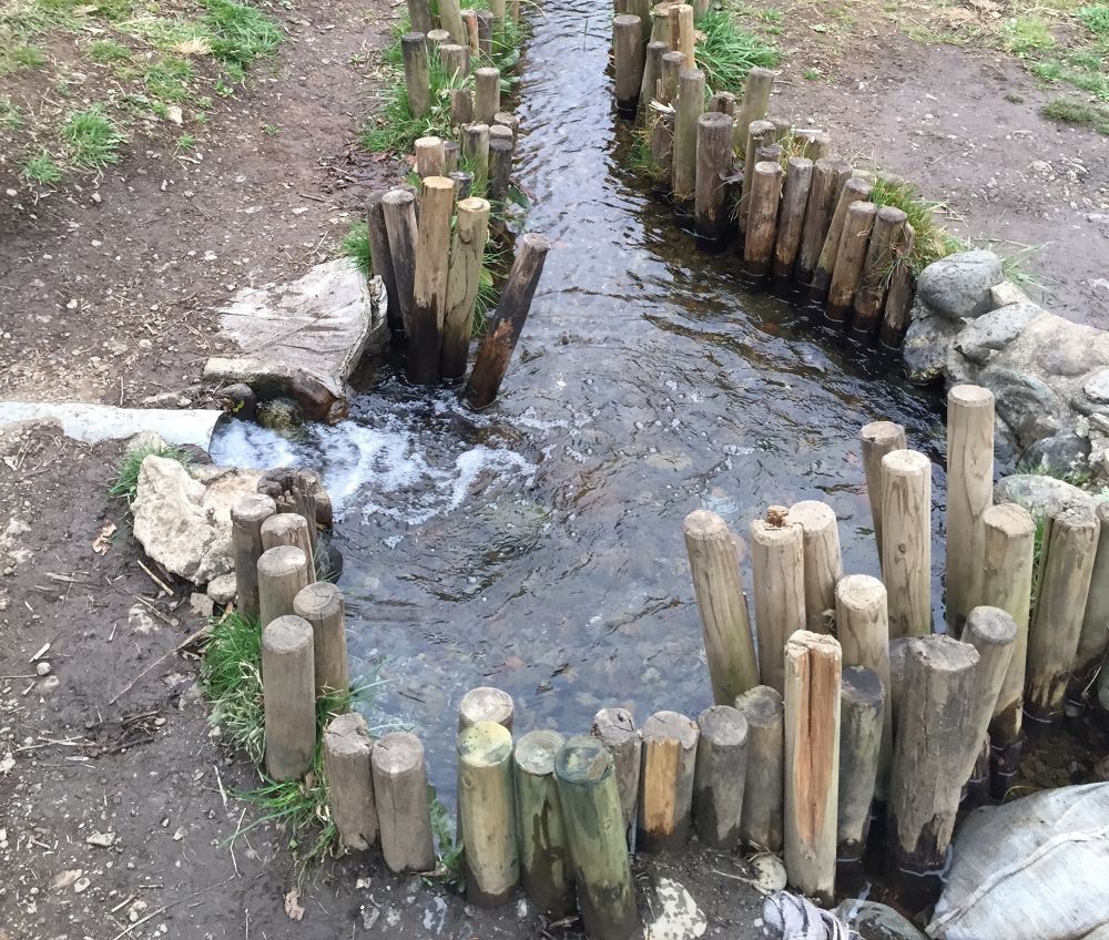 武蔵野のクロカンパーク野川公園2.5kmコースの写真3