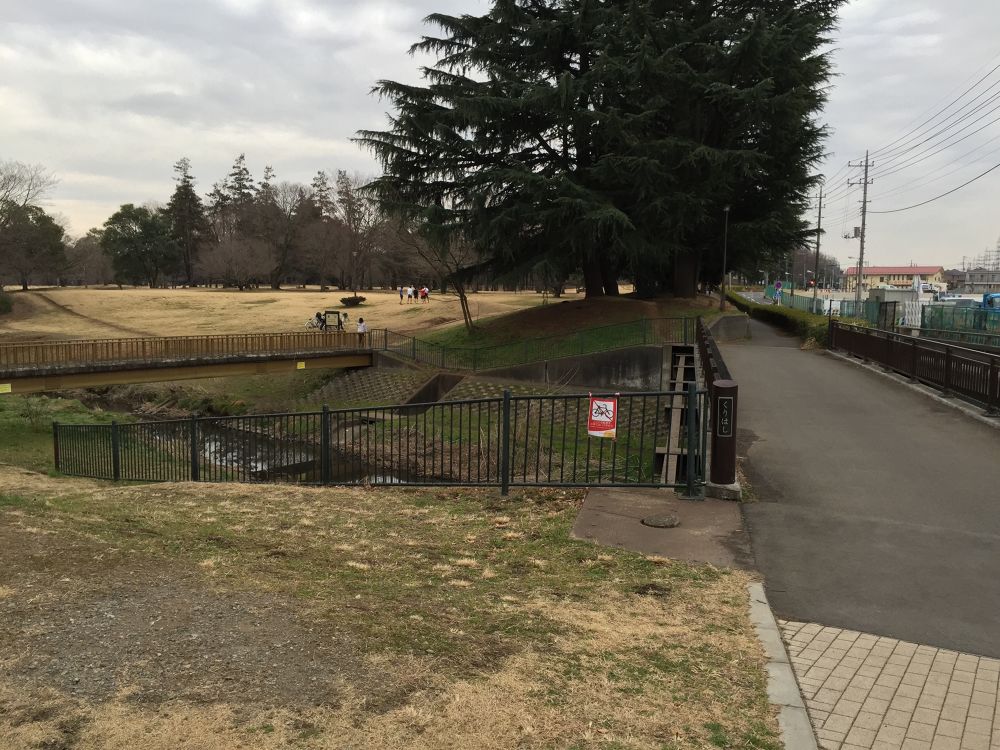 武蔵野のクロカンパーク野川公園2.5kmコースの写真4