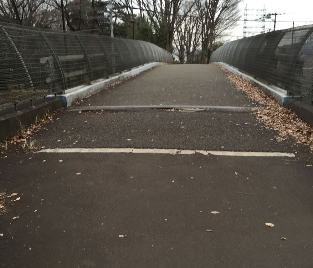 武蔵野のクロカンパーク野川公園2.5kmコースの写真5