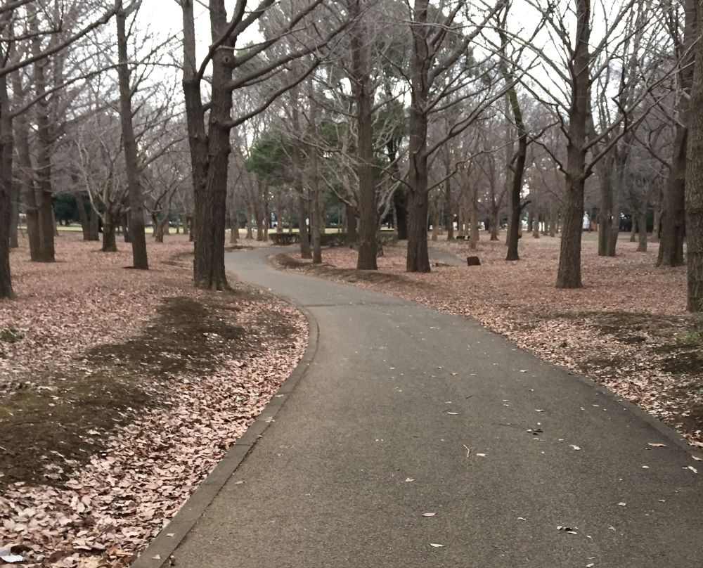武蔵野のクロカンパーク野川公園2.5kmコースの写真6