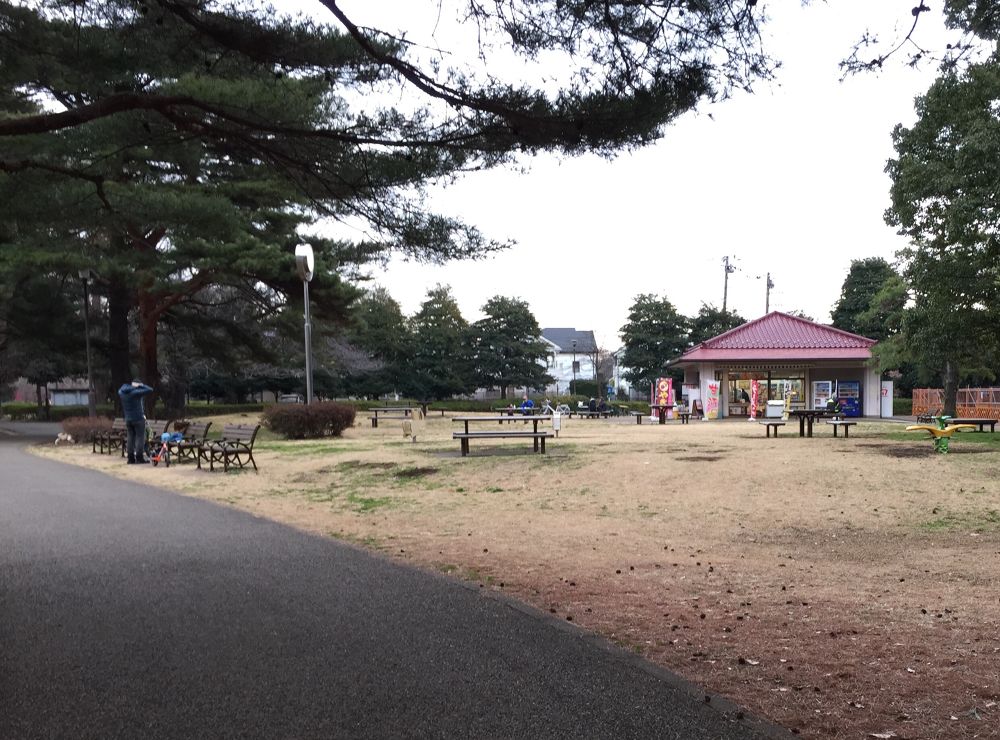 武蔵野のクロカンパーク野川公園2.5kmコースの写真7